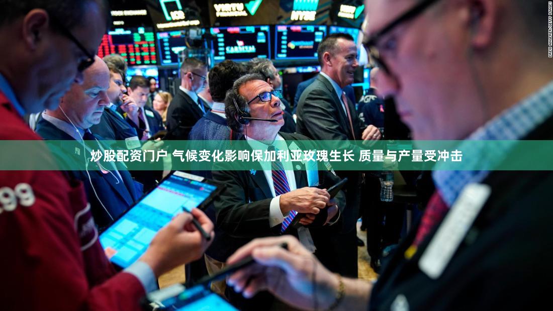 炒股配资门户 气候变化影响保加利亚玫瑰生长 质量与产量受冲击