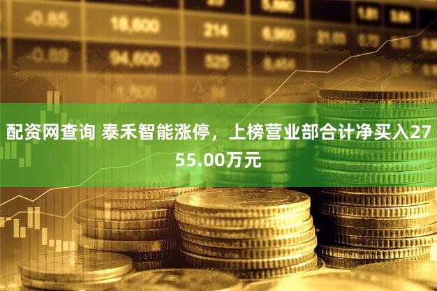 配资网查询 泰禾智能涨停，上榜营业部合计净买入2755.00万元