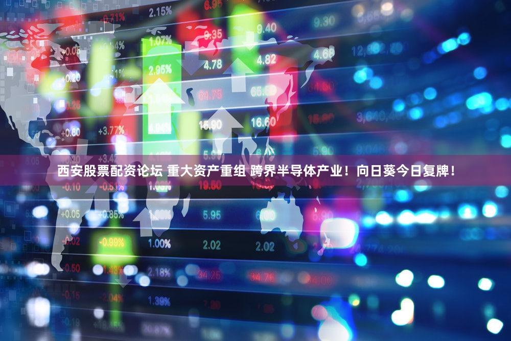 西安股票配资论坛 重大资产重组 跨界半导体产业！向日葵今日复牌！