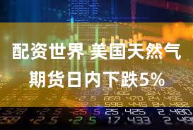 配资世界 美国天然气期货日内下跌5%