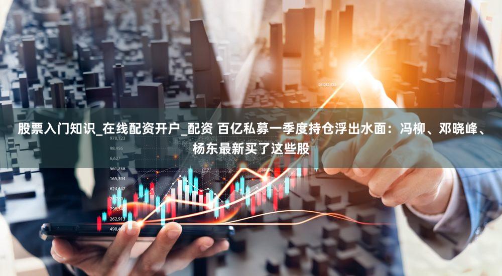 股票入门知识_在线配资开户_配资 百亿私募一季度持仓浮出水面：冯柳、邓晓峰、杨东最新买了这些股