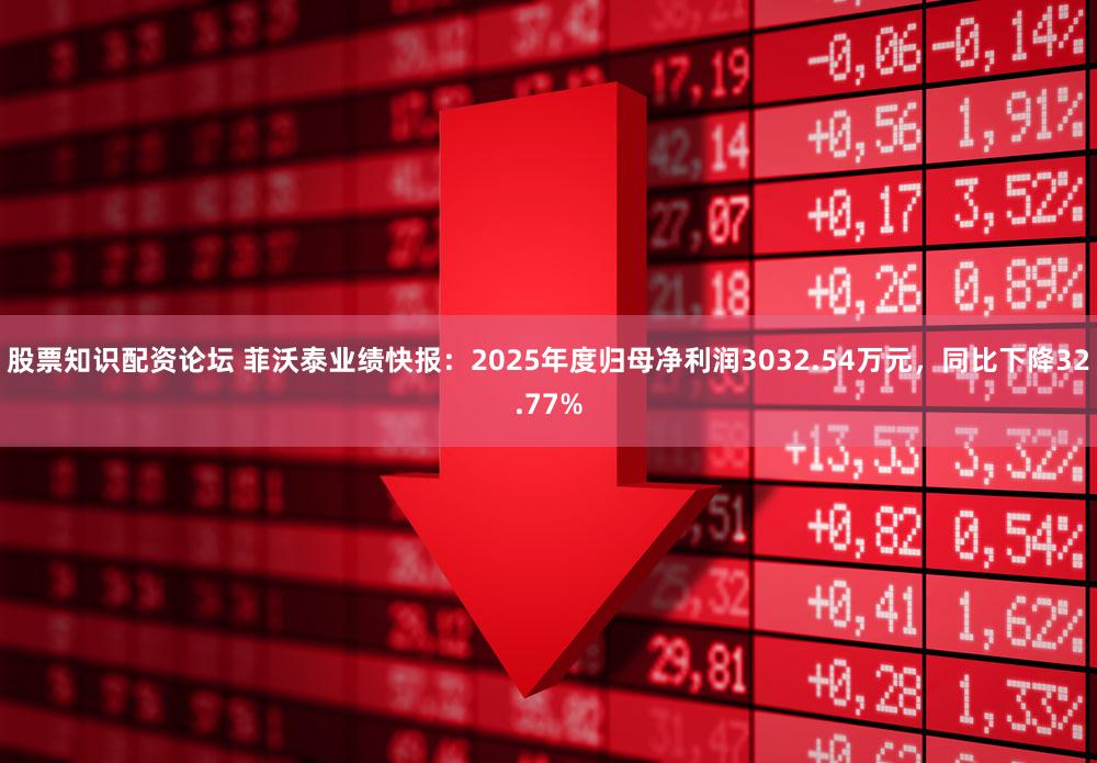 股票知识配资论坛 菲沃泰业绩快报：2025年度归母净利润3032.54万元，同比下降32.77%