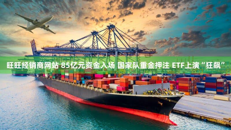 旺旺经销商网站 85亿元资金入场 国家队重金押注 ETF上演“狂飙”