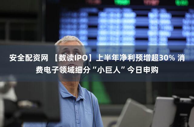 安全配资网 【数读IPO】上半年净利预增超30% 消费电子领域细分“小巨人”今日申购