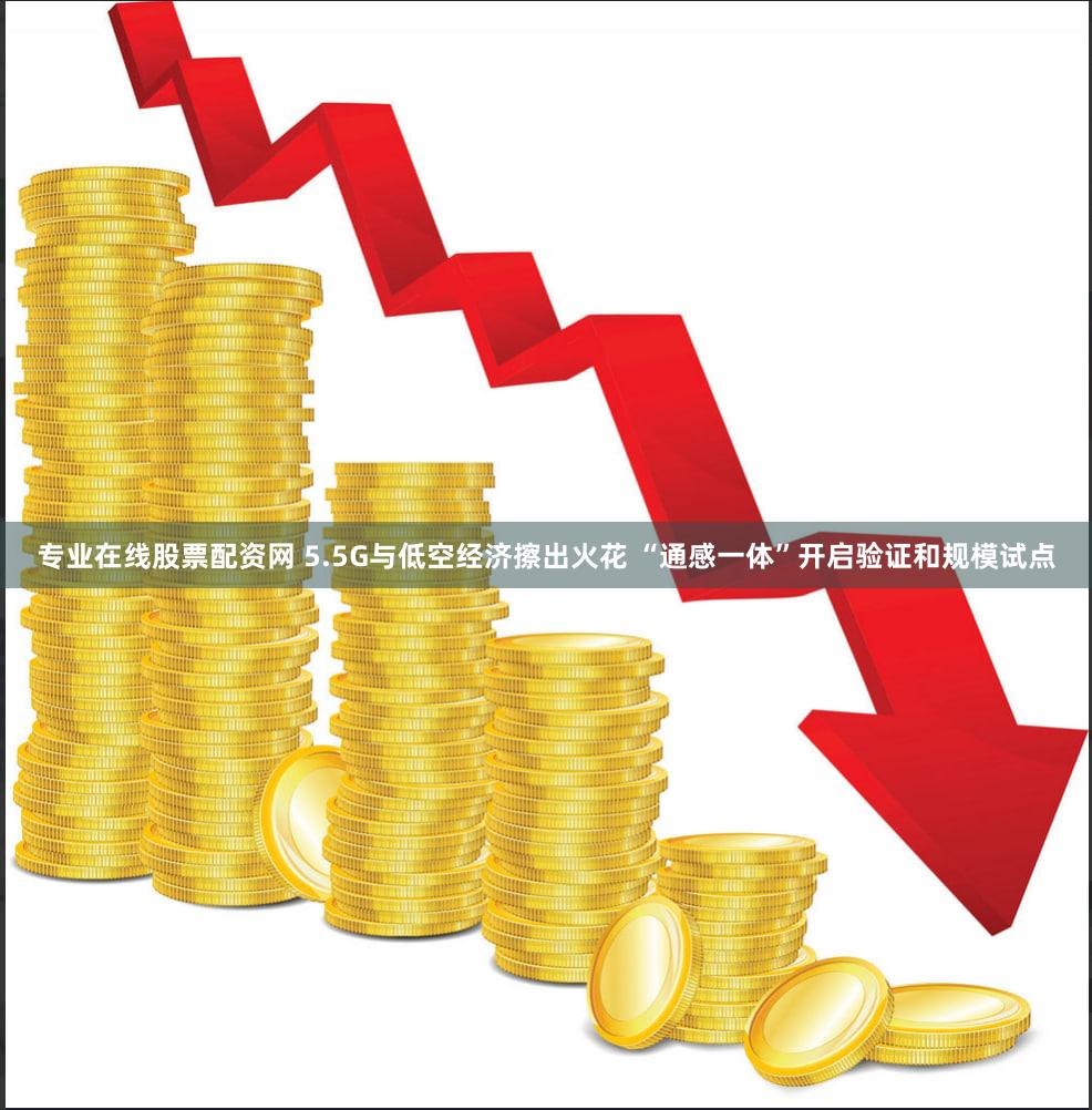 专业在线股票配资网 5.5G与低空经济擦出火花 “通感一体”开启验证和规模试点