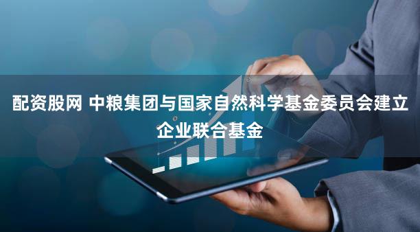 配资股网 中粮集团与国家自然科学基金委员会建立企业联合基金