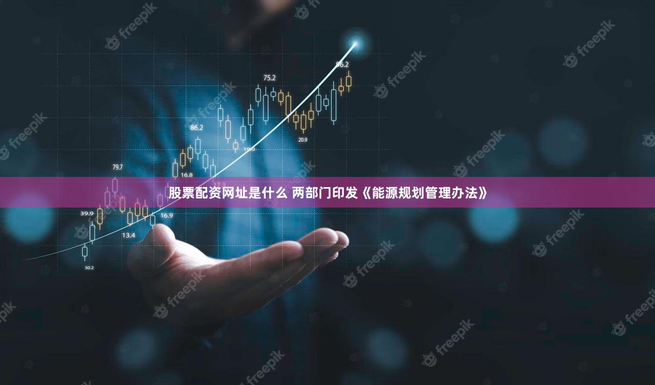 股票配资网址是什么 两部门印发《能源规划管理办法》